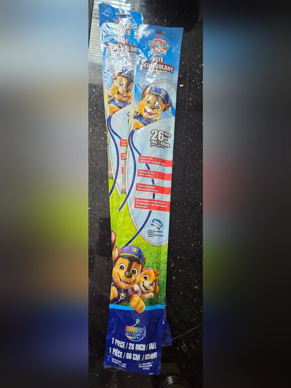Paw Patrol Sky Flyer Kite in Blue, Green and Red